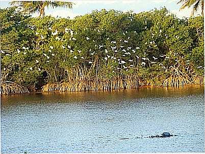 MARGEM DO RIO POR FONOLI - BARRA SECA - ES