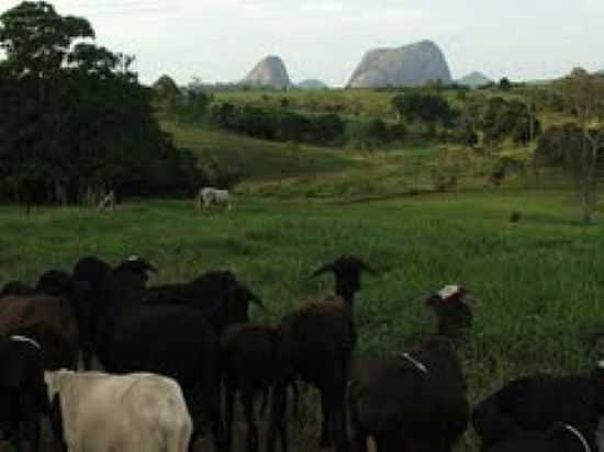 OLHANDO PARA A PEDRA DA BOTELHA EM BOA ESPERANA-FOTO:BERGAMIN - BOA ESPERANA - ES