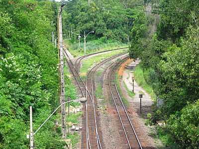 FERROVIA-FOTO:G12LEANDRO  - CARAPINA - ES