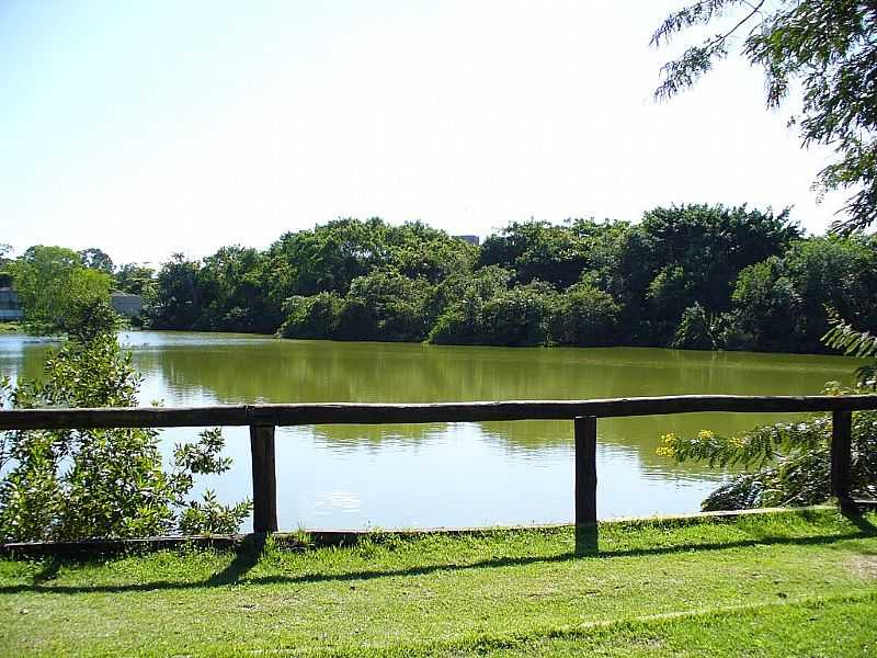 GOIABEIRAS-ES-LAGO DA UFES-FOTO:TEDD SANTANA - GOIABEIRAS - ES