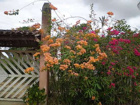 PRIMAVERAS EM TANGIL, VIOSA-FOTO:VALERIO.ALAGOAS - VIOSA - AL