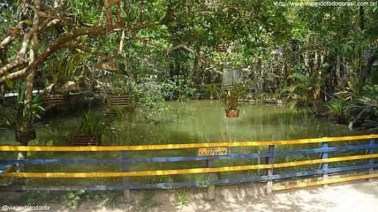 LAGO NO ORQUIDRIO FLORABELA EM MARECHAL FLORIANO-ES-FOTO:SERGIO FALCETTI - MARECHAL FLORIANO - ES