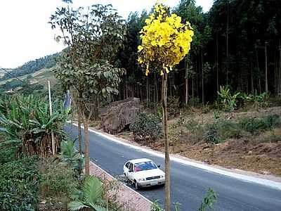 RODOVIA-FOTO:ANIVALDO KUHN - MELGAO - ES