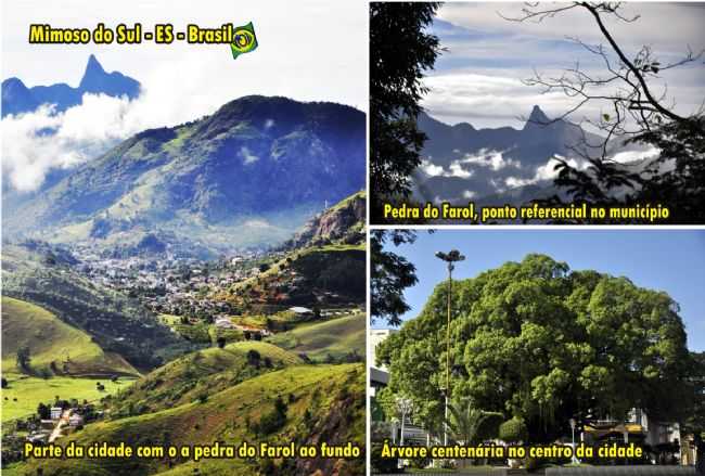 A CIDADE COM PEDRA DO FAROL AO FUNDO E RVORE HISTRICA NO CENTRO - - FOTO ALBERTO RODOLFO - VISAOBRASILVIP.COM.BR CARTES POSTAIS, POR ALBERTO RODOLFO - MIMOSO DO SUL - ES