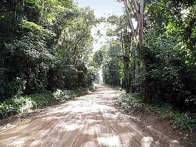  FAZENDA EXPERIMENTAL DO INCAPER DE PACOTUBA  - PACOTUBA - ES