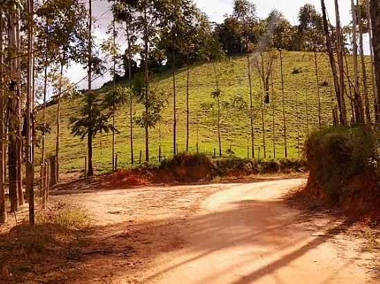 PIAU-ES- DIREITA ENTRADA DA CIDADE-FOTO:RONALDO PUPPIN CURCI - PIAU - ES