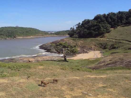 ONDE DESEMBOCA O RIO DE PIMA, POR DAVID BEZERRA DOS SANTOS - PIMA - ES