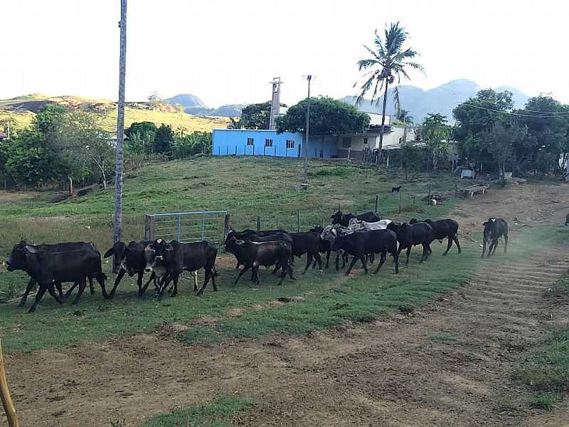 IMAGENS DA LOCALIDADE DE SANTA ANGLICA - ES - SANTA ANGLICA - ES