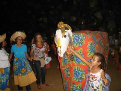 A VACA MOCHA, POR ALCI SANTOS VIVAS AMADO - SANTO ANTNIO DO MUQUI - ES