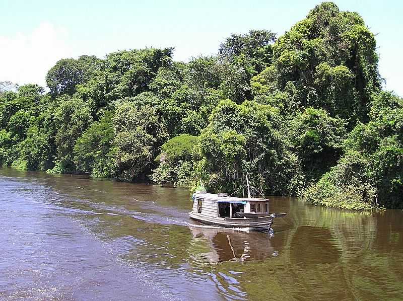 BARCELOS-AM-BARCO NO RIO NEGRO-FOTO:LUCAS LEUZINGER - BARCELOS - AM