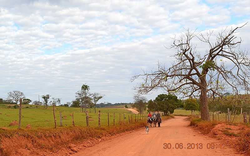 ADELNDIA-GO-ESTRADA DE TERRA VERMELHA-FOTO:WENDER MARQUES  - ADELNDIA - GO