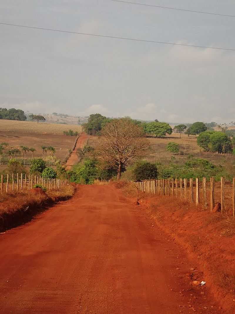 ADELNDIA-GO-ESTRADA DE TERRA VERMELHA-FOTO:WENDER MARQUES - ADELNDIA - GO