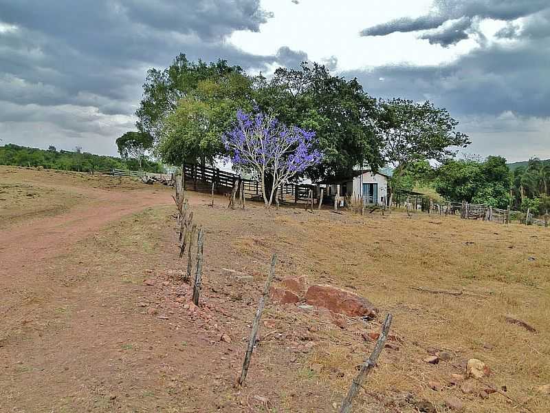 GUA LIMPA-GO-PAISAGEM RURAL-FOTO:REGINALDO MORONTE  - GUA LIMPA - GO