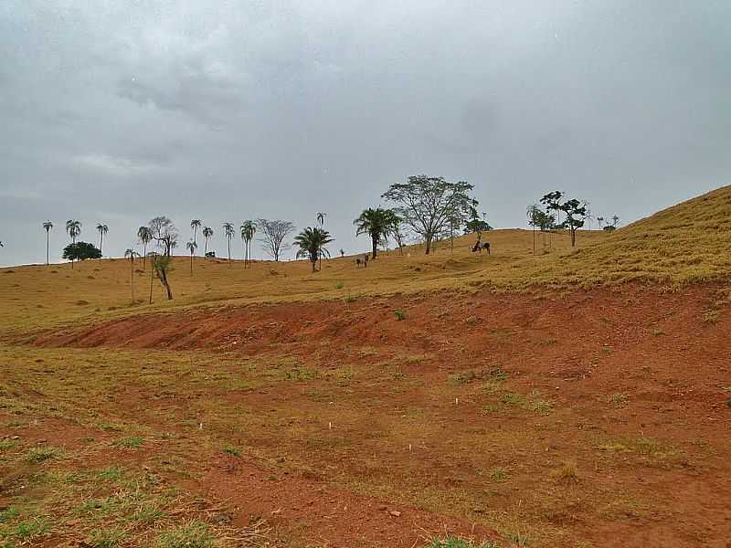 GUA LIMPA-GO-PAISAGEM RURAL-FOTO:REGINALDO MORONTE - GUA LIMPA - GO