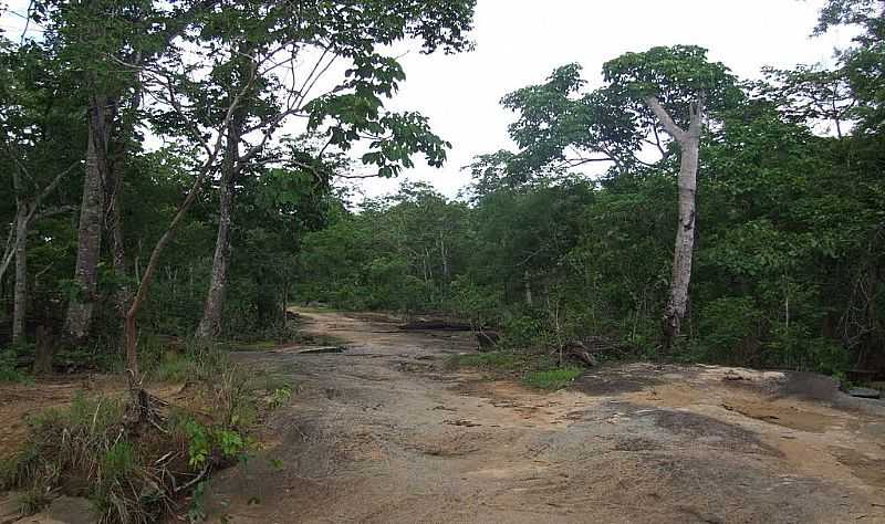 AMARALINA-GO-TRILHA EM REA RURAL-FOTO:AROLLDO COSTA - AMARALINA - GO