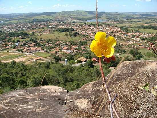 FLOR NA SERRA DO FELIPE E A CIDADE AO FUNDO-FOTO:JOO MOLS - ANICUNS - GO