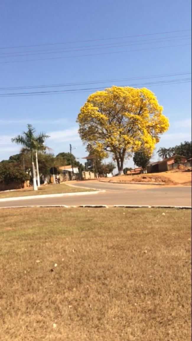 APARECIDA DO RIO CLARO - GOIAS, POR TASMANIA MARIA MACEDO MAIA - APARECIDA DO RIO CLARO - GO