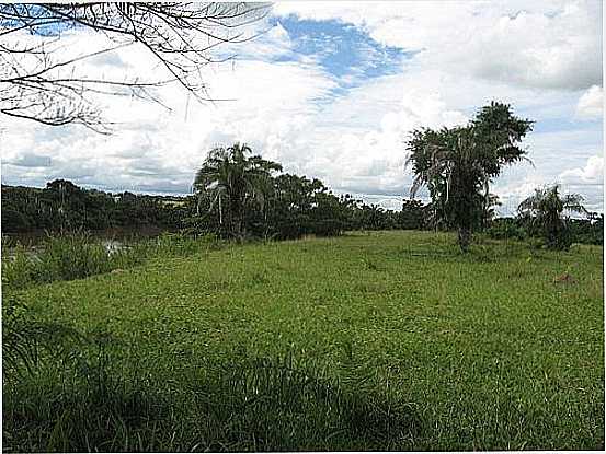 VEGETAO RIBEIRINHA DO RIO CLARO-FOTO:TMORATO  - APARECIDA DO RIO CLARO - GO