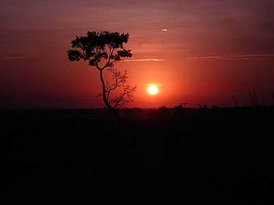 PR DO SOL-FOTO:NEY NUNES  - APARECIDA DO RIO DOCE - GO