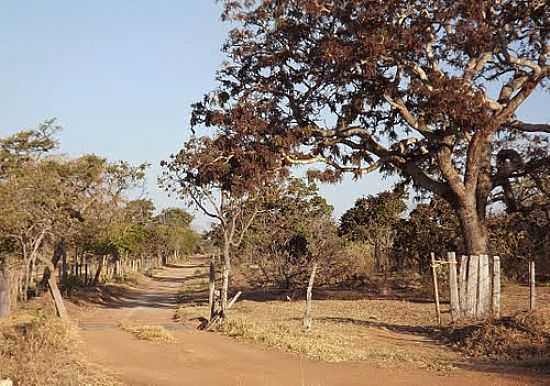 ARAGOINIA-GO-ESTRADA DO PARAISO-FOTO:AROLLDO COSTA OLIVEI - ARAGOINIA - GO