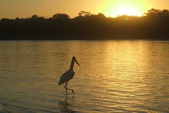 PR DO SOL NO RIO ARAGUAIA EM BANDEIRANTES-GO-FOTO:BLOGBANDEIRANTES-GO - BANDEIRANTES - GO