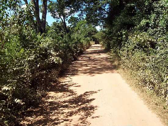 BOM JARDIM DE GOIS-GO-ESTRADA DE TERRA EM REA RURAL-FOTO:JULIANI OZARCZUKI - BOM JARDIM DE GOIS - GO