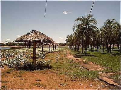 CACHOEIRA DOURADA-GO, POR FERNANDO N BRANCO.  - CACHOEIRA DOURADA - GO