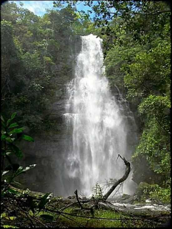 CAIAPNIA-GO-CACHOEIRA DA SAMAMBAIA-FOTO:GIL ROBERTO - CAIAPNIA - GO