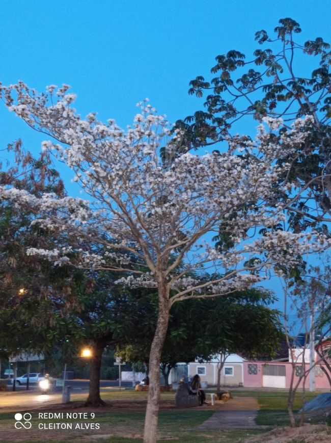 PRAA DA FESURV, POR CLEITON ALVES - CAIAPNIA - GO