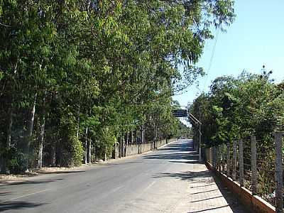 AVENIDA OROZIMBO C. NETO - CALDAS NOVAS - GO