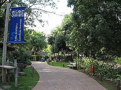 CALDAS NOVAS FOTO
CRUVINEL - CALDAS NOVAS - GO