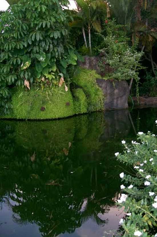 ENTRADA DO JARDIM JAPONS EM CALDAS NOVAS-GO-FOTO:RILDO CUNHA - CALDAS NOVAS - GO