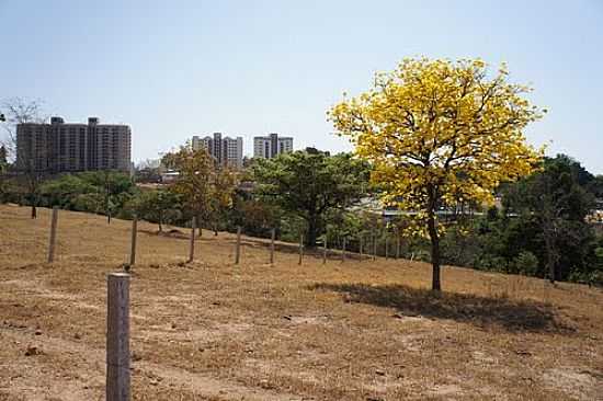 O IP E A CIDADE DE CALDAS NOVAS-GO-FOTO:PAULO YUJI TAKARADA - CALDAS NOVAS - GO