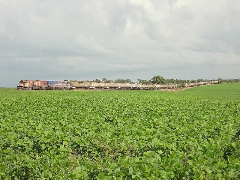 CARABA-GO-TREM DE CARGA DA FEPASA/LFCA-FOTO:EDINISIO GONALVES PEREIRA - CARABA - GO
