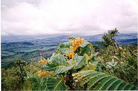 MORRO DO ALM-CASTRINPOLIS-FOTO:JULIERMESGME78 - CASTRINPOLIS - GO