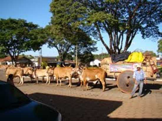 CARROS DE BOI-FOTO:ELEUSMARIO M. RABELO - CATURA - GO