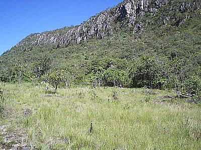 CHAPADA, POR TATIANE PASSOS - CAVALCANTE - GO