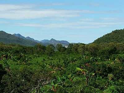 VISTA DO VALE DAS ARARAS, POR LEO DARONCO - CAVALCANTE - GO