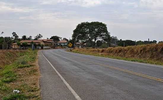 CHEGANDO  CIDADE DE DIOLNDIA-FOTO:AROLLDO COSTA OLIVEI - DIOLNDIA - GO