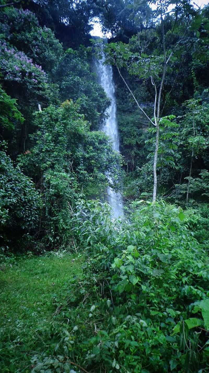 CASCATA EM DOVERLNDIA/GO - POR WILSONFRANCISCHINELLI  - DOVERLNDIA - GO