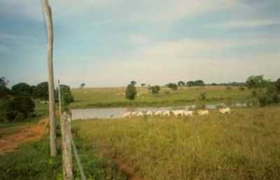 FAZENDA, POR EDINHO - ESTRELA DO NORTE - GO