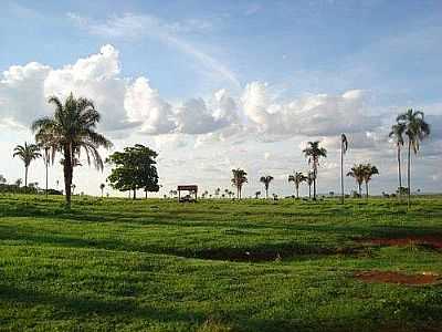 FAZENDA NOVA POR JRFAZNOVA - FAZENDA NOVA - GO
