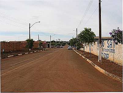 AVENIDA DAS PALMEIRAS-FOTO:FERNANDO.DEMARTINI  - GAMELEIRA DE GOIS - GO