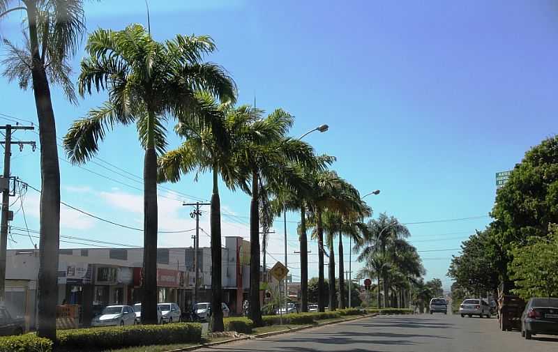 AVENIDA BRASIL - GOIANSIA - GO