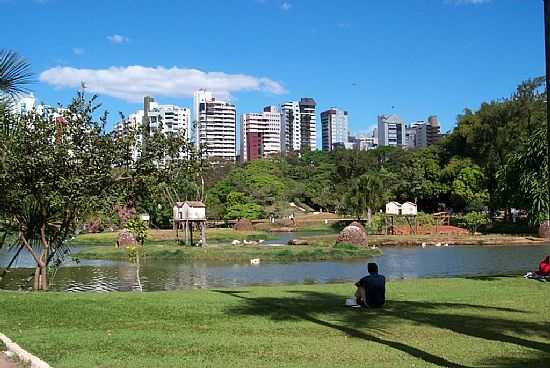 GOINIA-GO-LAGO NO ZOOLGICO-FOTO:JOVENTINO NETO - GOINIA - GO