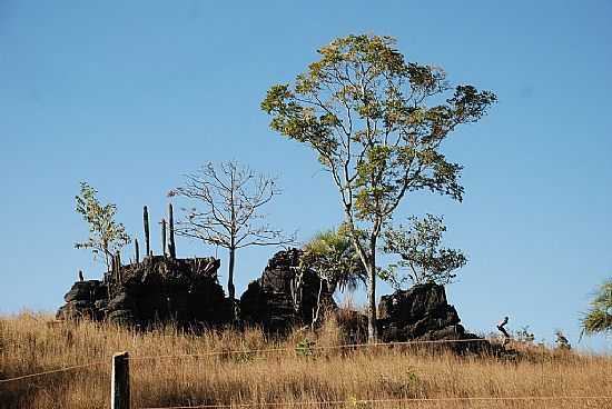 PAISAGEM NO CAMINHO DE TERRA RONCA EM GUARANI DE GOIS-GO-FOTO:JACKSON A DE MOURA - GUARANI DE GOIS - GO