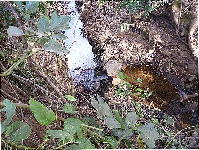ITABERA-GO-NASCENTE PRXIMA AO RIO DAS PEDRAS-FOTO:RHENAN ULISSES - ITABERA - GO