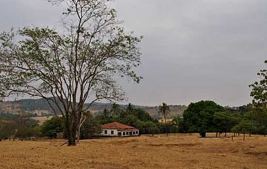 REA RURAL DE ITAUU-FOTO:AROLLDO COSTA OLIVEI - ITAUU - GO