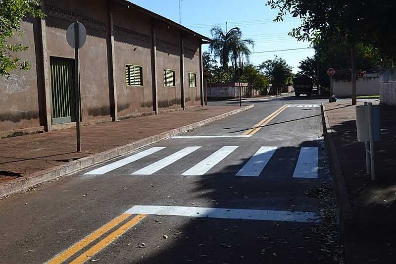 LAGOA DO BAUZINHO-GO-RUA CENTRAL DO DISTRITO-FOTO:FACEBOOK - LAGOA DO BAUZINHO - GO