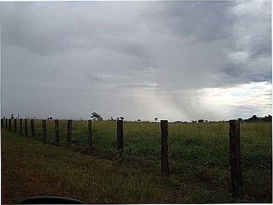 CHUVA NO CERRADO GOIANO-FOTO:ELIELSON MOREIRA - NOVA CRIXS - GO